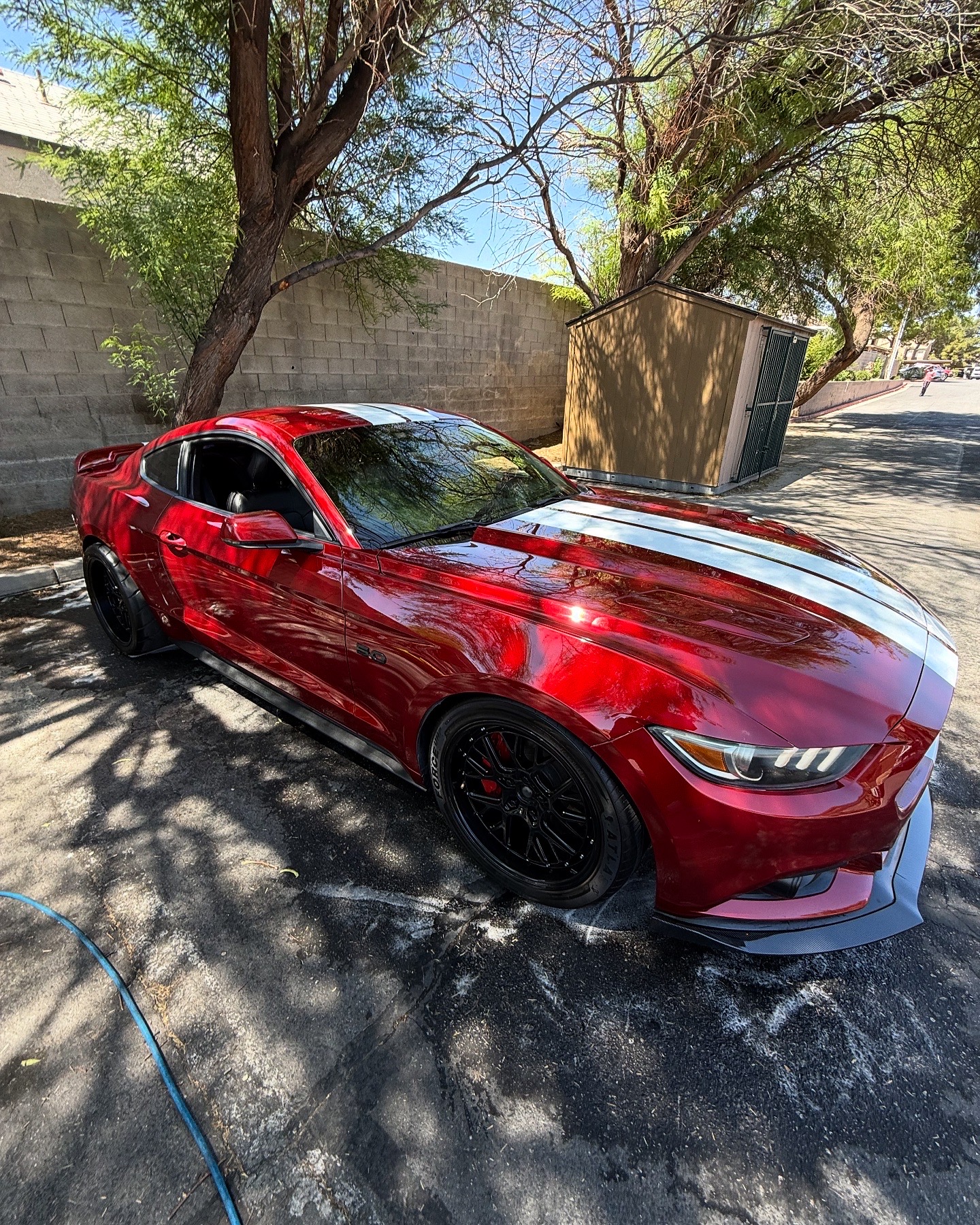 Mustang Detail las Vegas