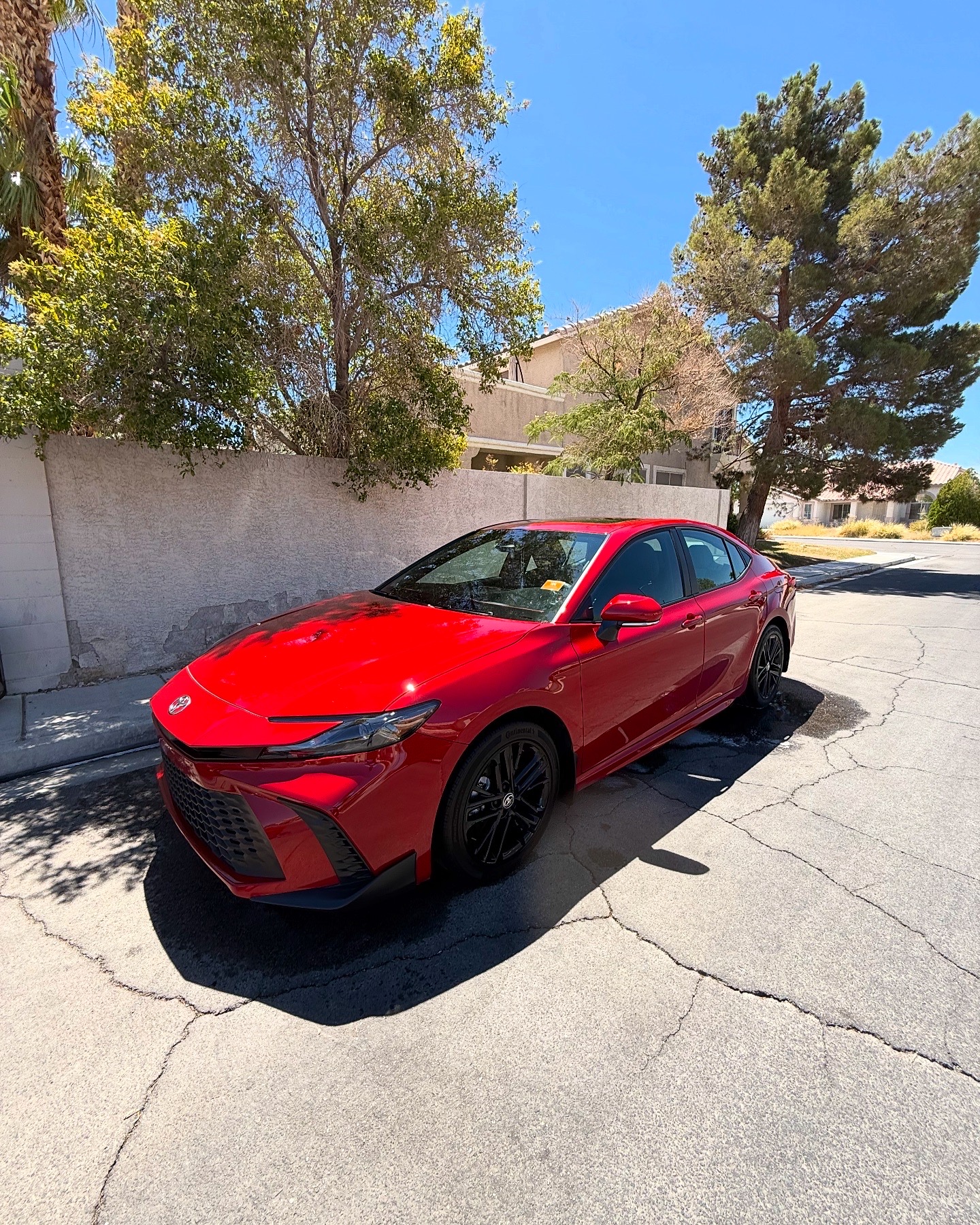 E72310C1-2B00-492C-B046-28A02A900C16